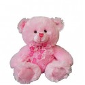 My First Teddy  Pink