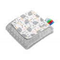 Baby Blanket minky grey