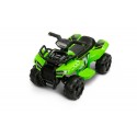 Raptor Battery Powered Mini-Quad